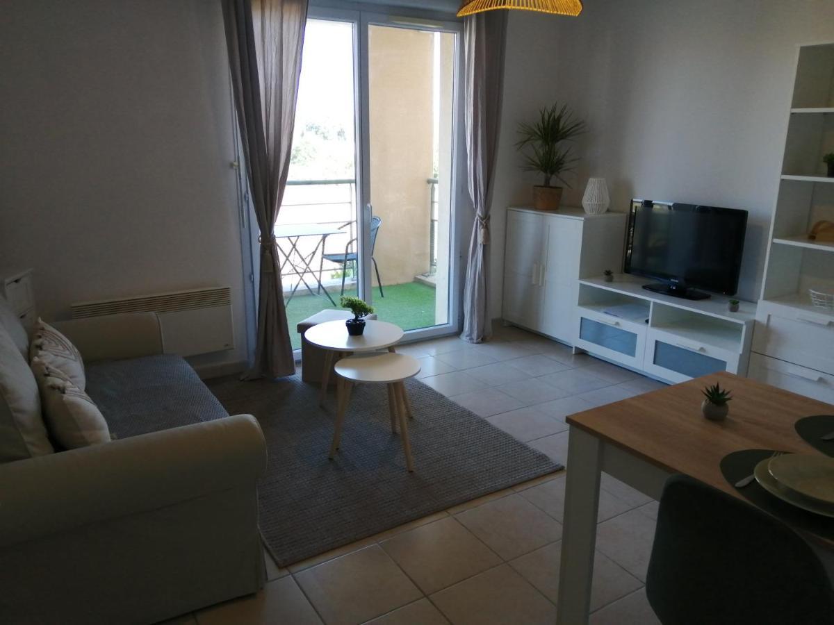 Le Cocon De Marie,Piscine, Balcon, Parking Gratuit, Baignoire Daire Carcassonne Dış mekan fotoğraf