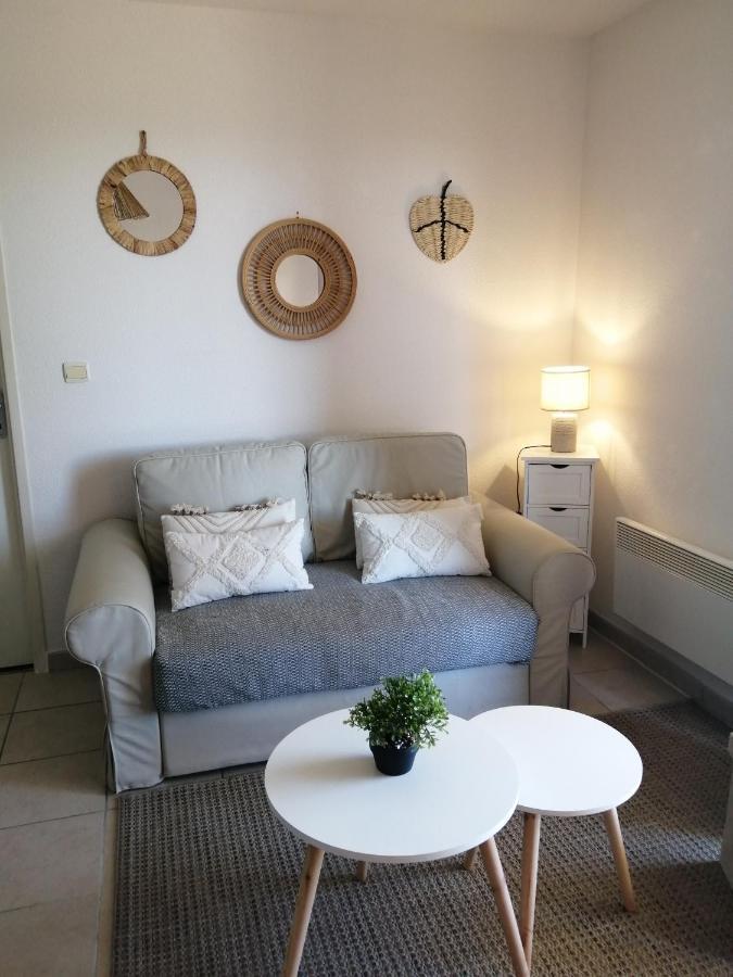 Le Cocon De Marie,Piscine, Balcon, Parking Gratuit, Baignoire Daire Carcassonne Dış mekan fotoğraf