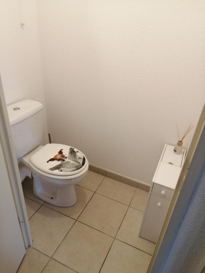 Le Cocon De Marie,Piscine, Balcon, Parking Gratuit, Baignoire Daire Carcassonne Dış mekan fotoğraf