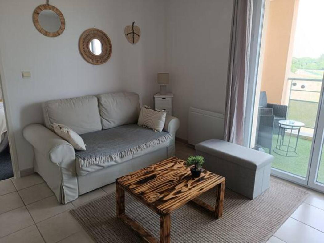 Le Cocon De Marie,Piscine, Balcon, Parking Gratuit, Baignoire Daire Carcassonne Dış mekan fotoğraf